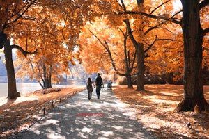 新款问界M7曝光，增黑曜套件，能接受吗